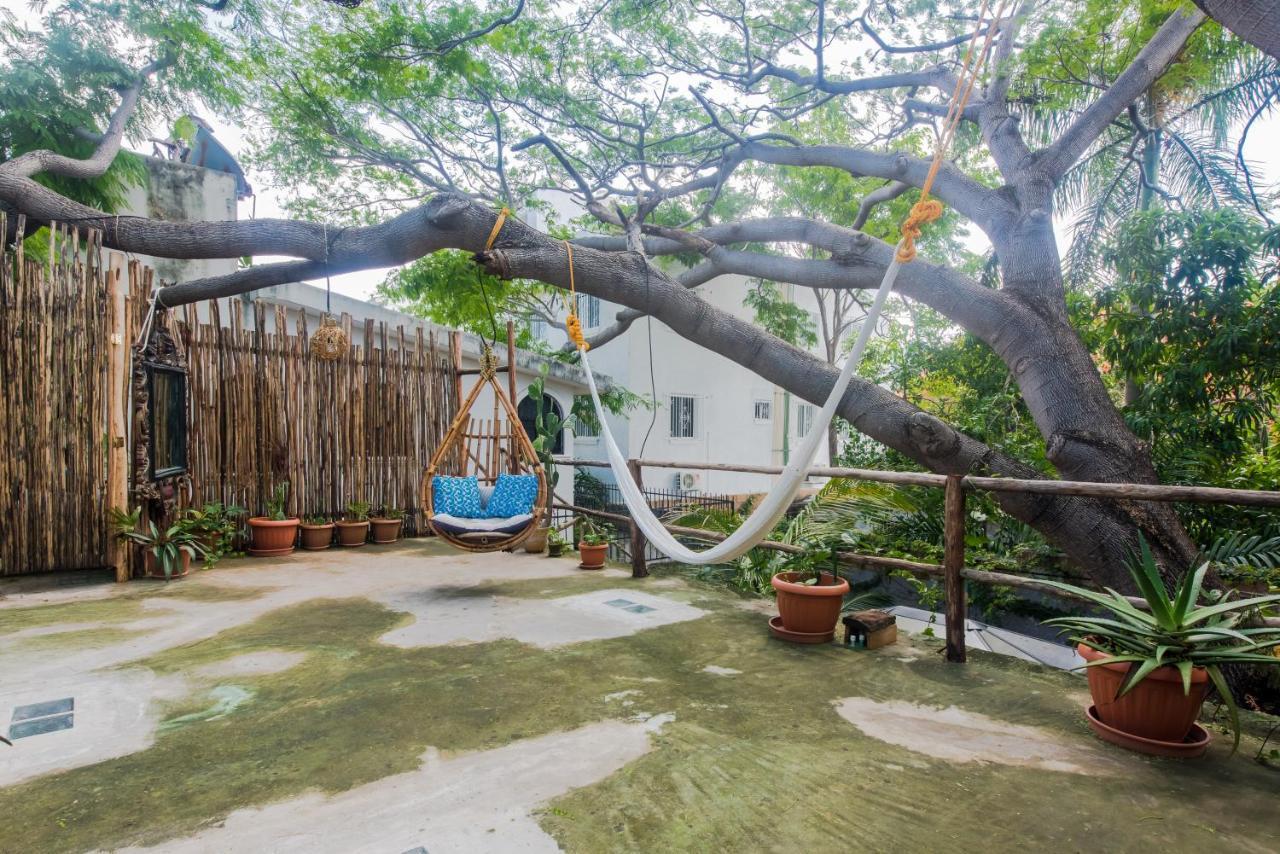 Casa árbol Mx-la Experiencia Bajo Un Arbol Maya *