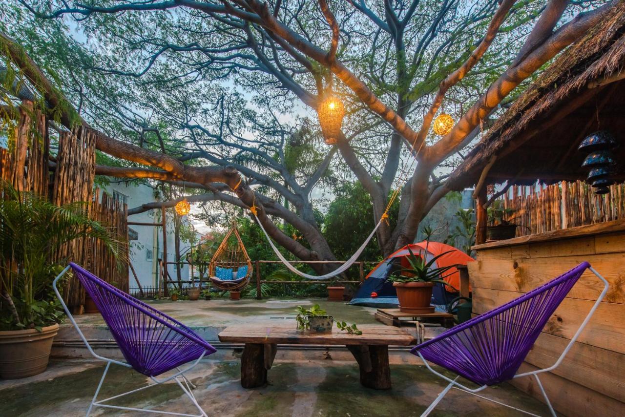 Casa árbol Mx-la Experiencia Bajo Un Arbol Maya *