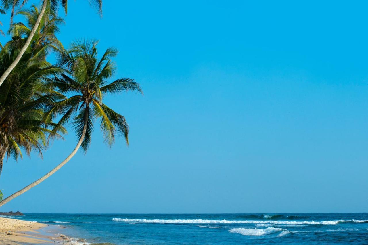 Oceanfront El Mechokan Pensión Cancún