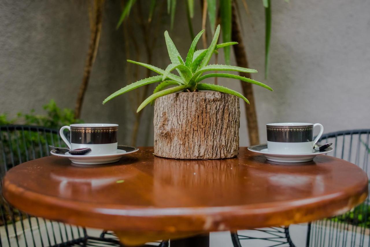 Casa árbol Mx-la Experiencia Bajo Un Arbol Maya Сasa de vacaciones Cancún