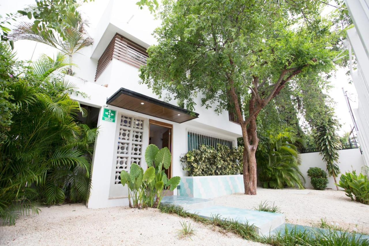 Casa Cielo Bed and breakfast