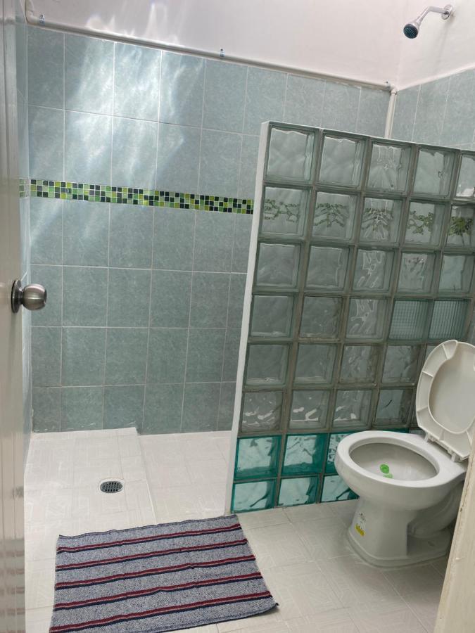 La Casa Del Arbol Hostel