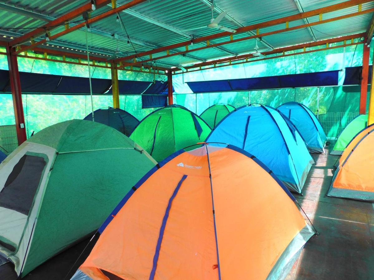Chakpool & Camping Hostal Cancún