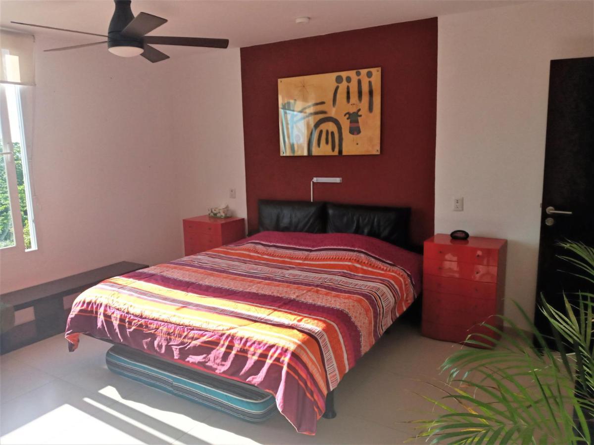 Swim The Caribbean & Work With A View Apartamento *