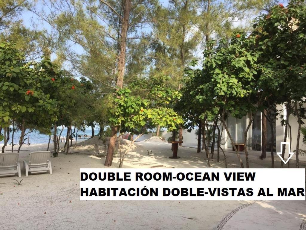 Apartment Sea By C (adults Only) Cancun