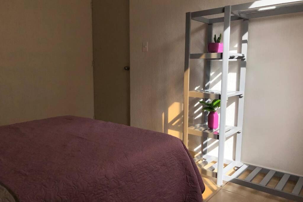 Apartamento Axolo House Departamento Con Alberca En *