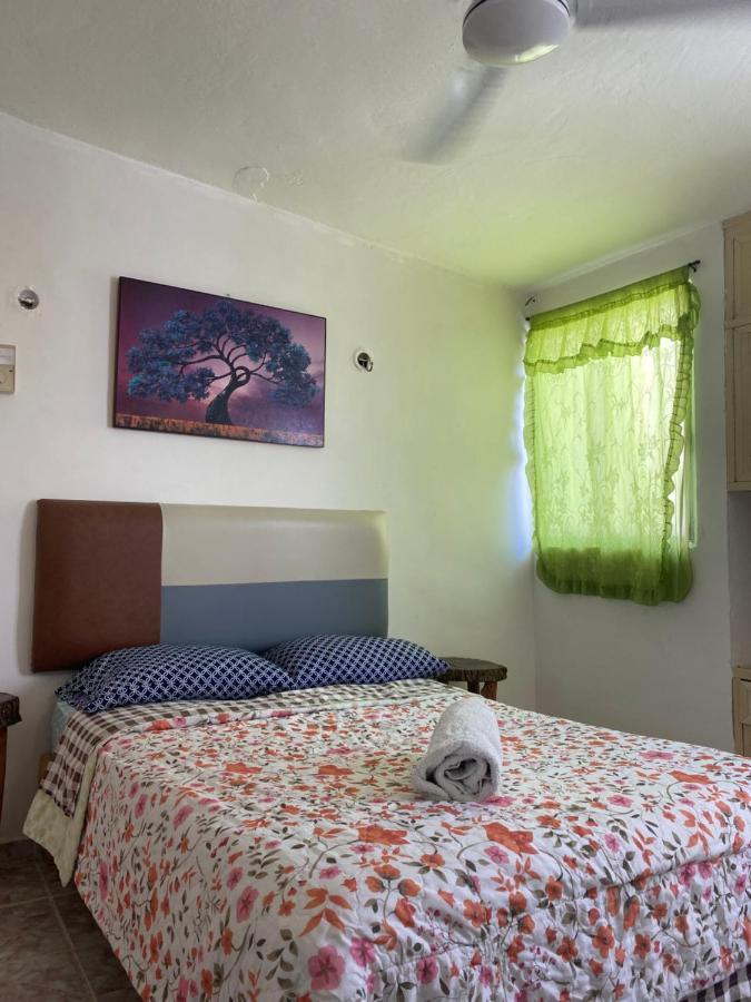 La Casa Del Arbol Hostel