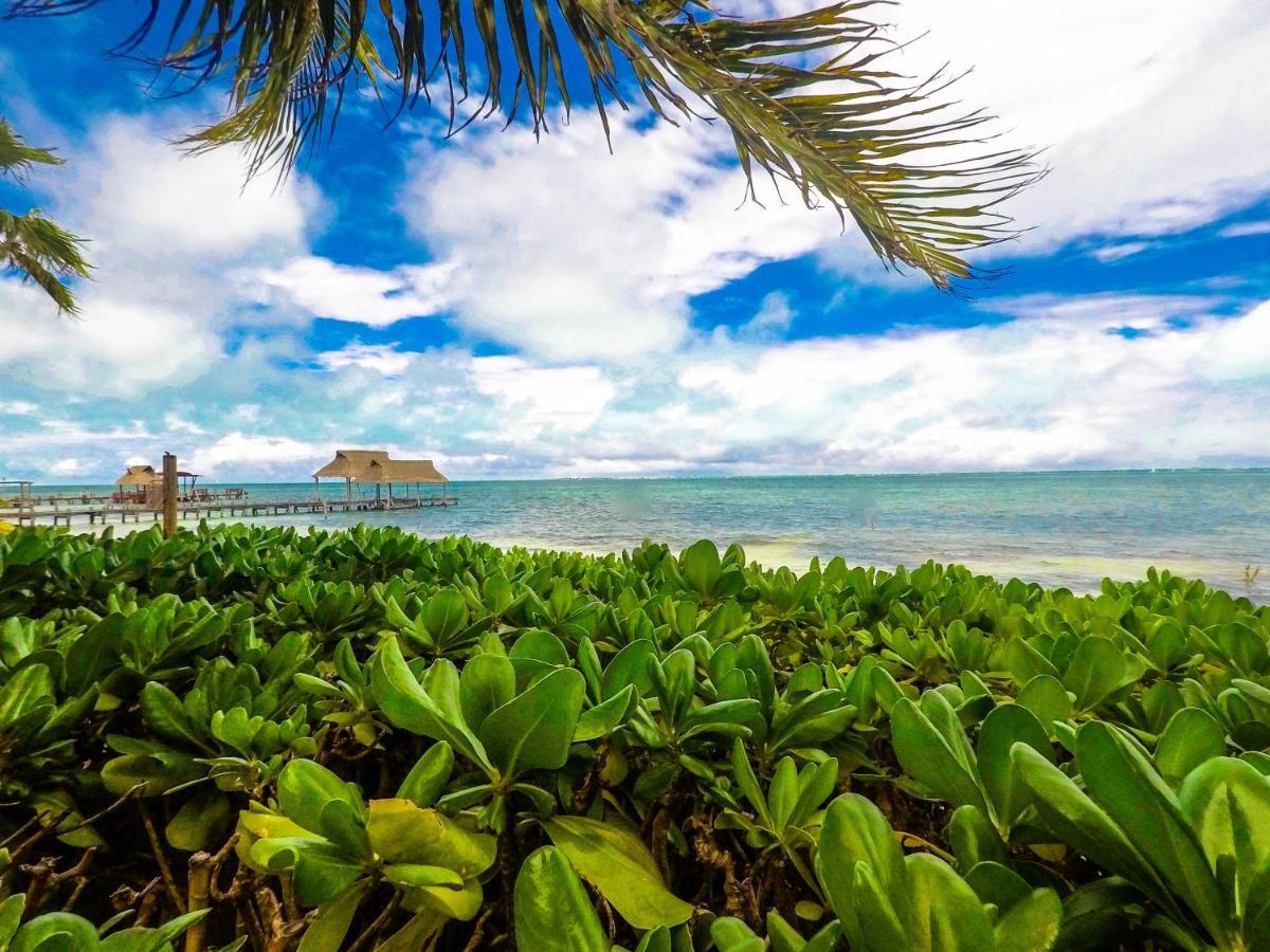 Punta Me Beach Suites Pensión Cancún