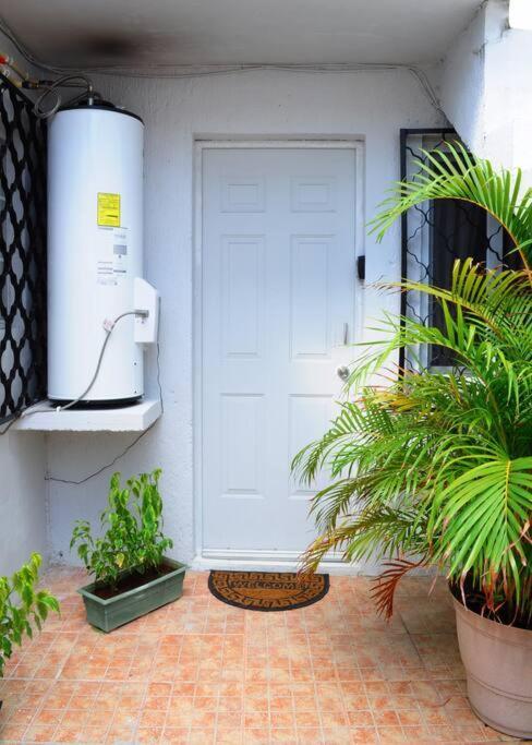 Apartamento Hermoso Estudio En El Centro Y Corazon De Cancún