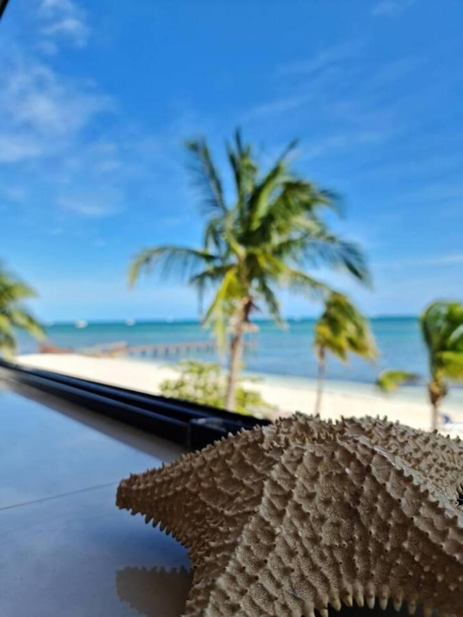 Sea Front 2br 2bth Condo, Pool, Kayak&parking * Cancún