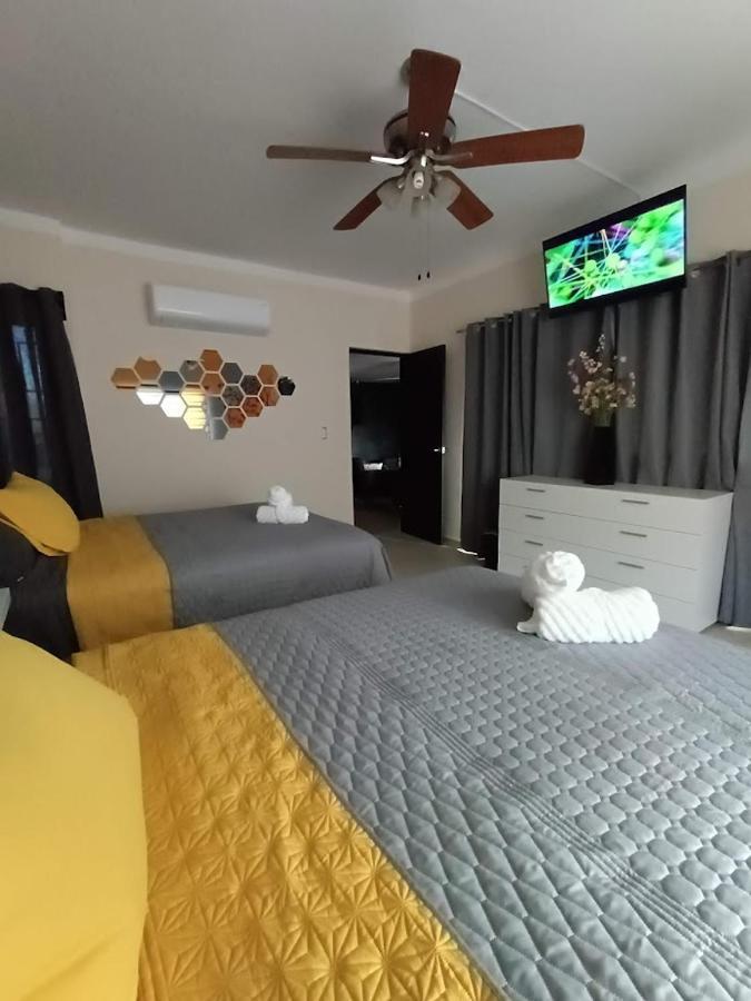 Apartamento Nuevo! Casa Sofia Lujoso&súper Céntrico