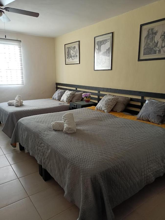 Nuevo! Casa Sofia Lujoso&súper Céntrico Apartamento Cancún