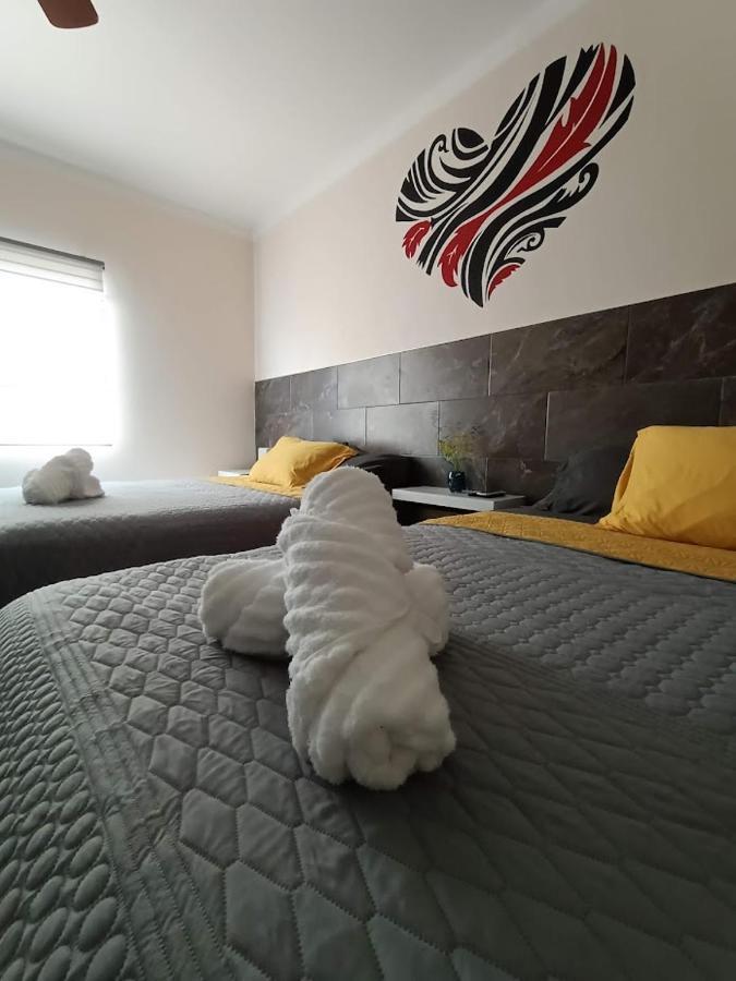 Apartamento Nuevo! Casa Sofia Lujoso&súper Céntrico