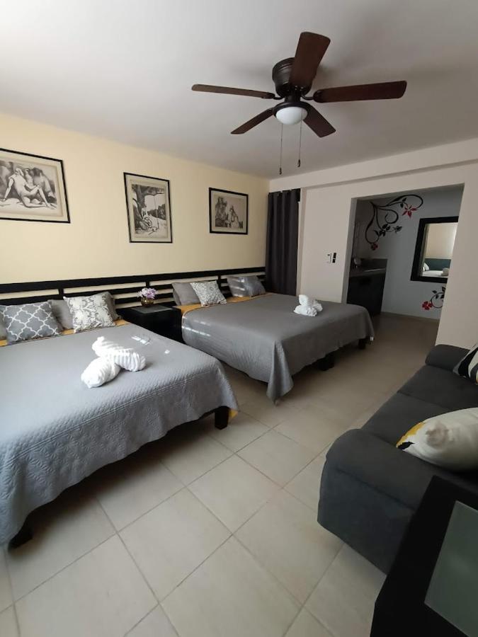 Nuevo! Casa Sofia Lujoso&súper Céntrico