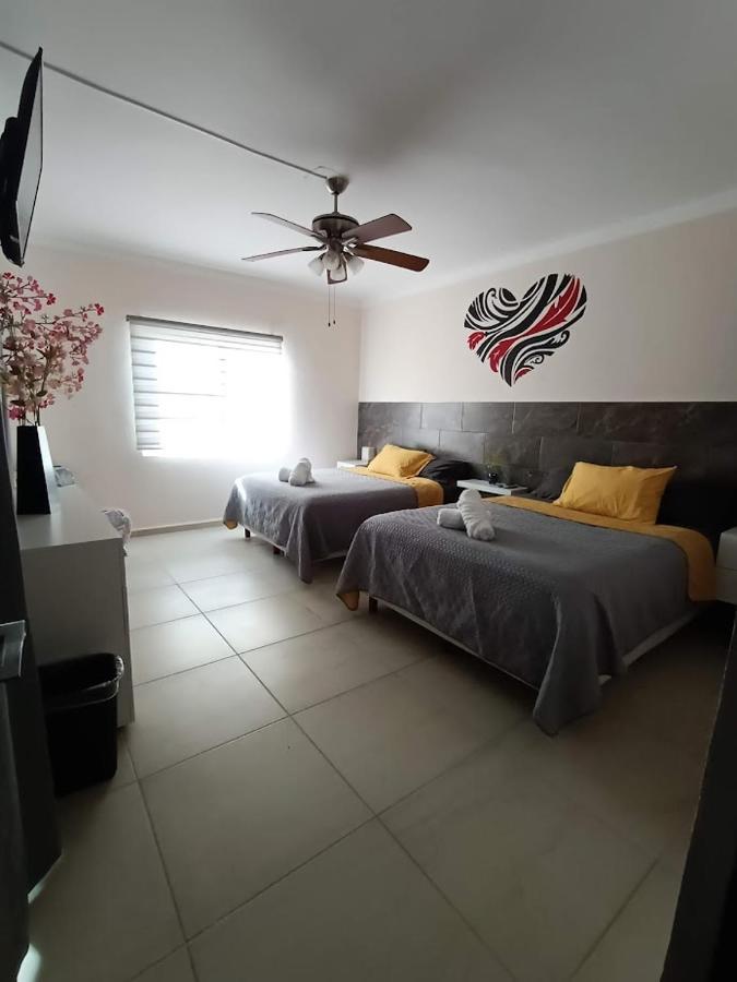 Apartamento Nuevo! Casa Sofia Lujoso&súper Céntrico