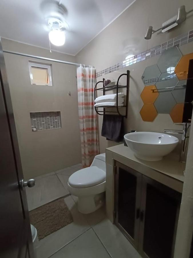 Apartamento Nuevo! Casa Sofia Lujoso&súper Céntrico