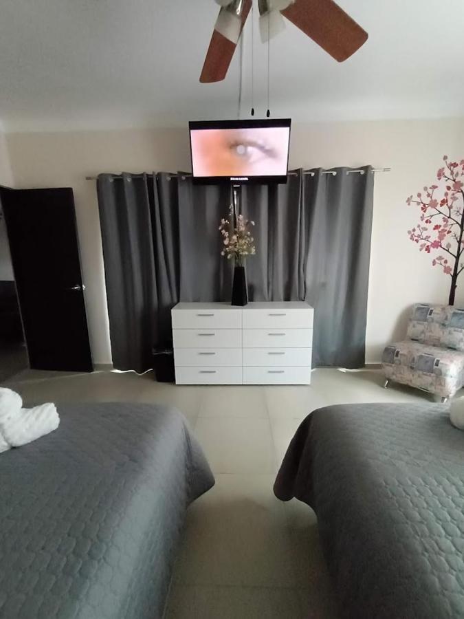 Apartamento Nuevo! Casa Sofia Lujoso&súper Céntrico