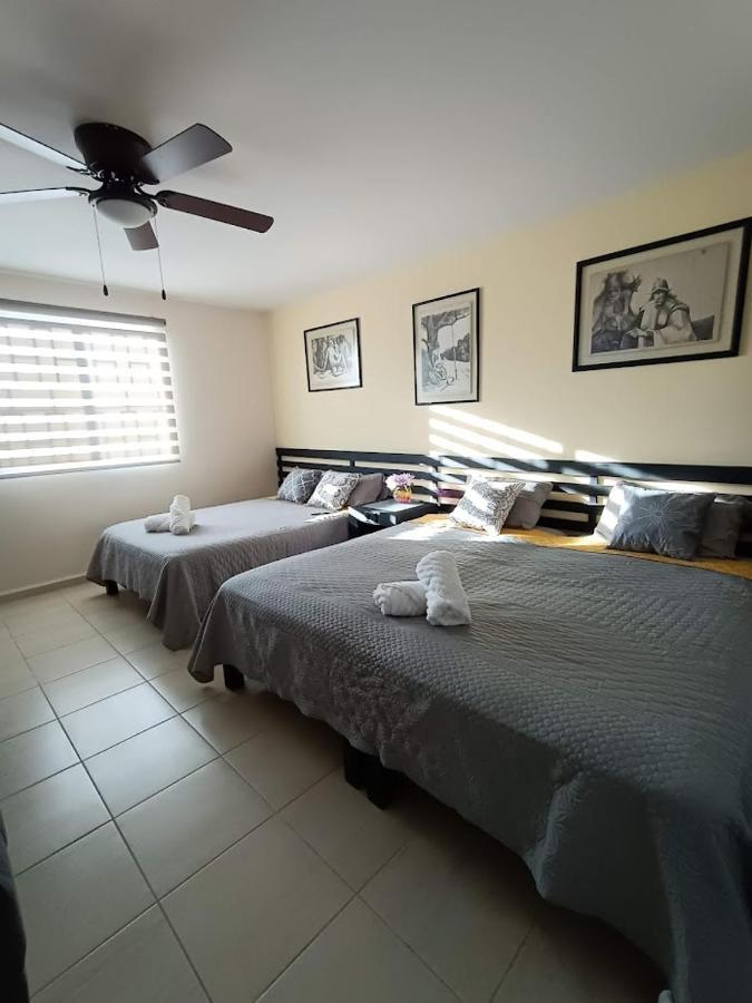 Apartamento Nuevo! Casa Sofia Lujoso&súper Céntrico *