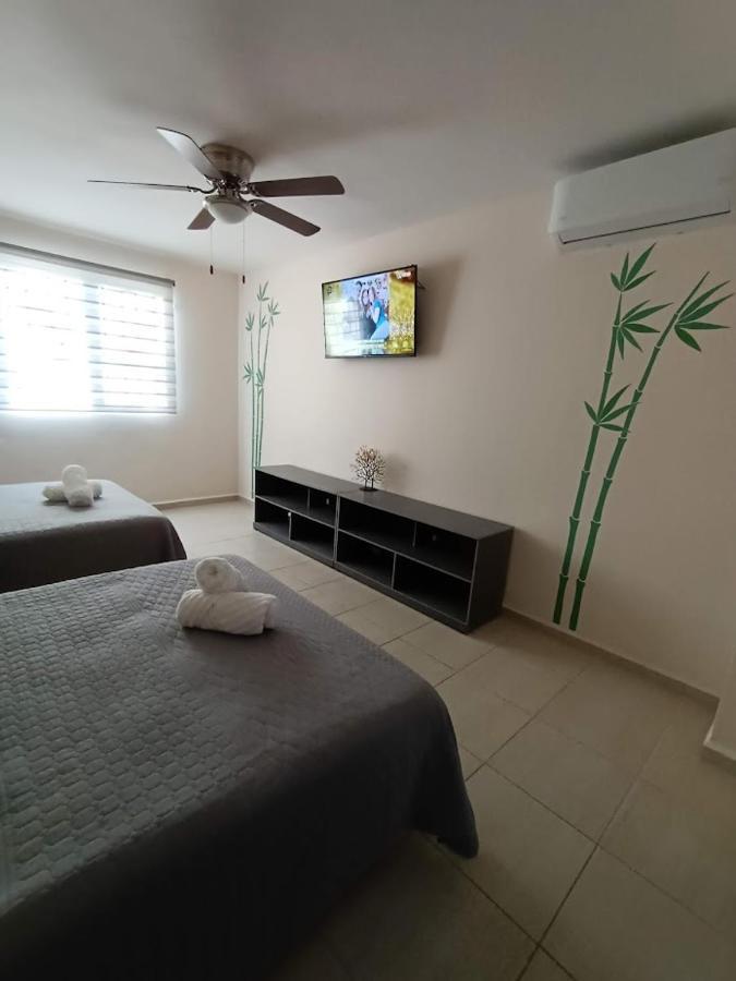 Apartamento Nuevo! Casa Sofia Lujoso&súper Céntrico