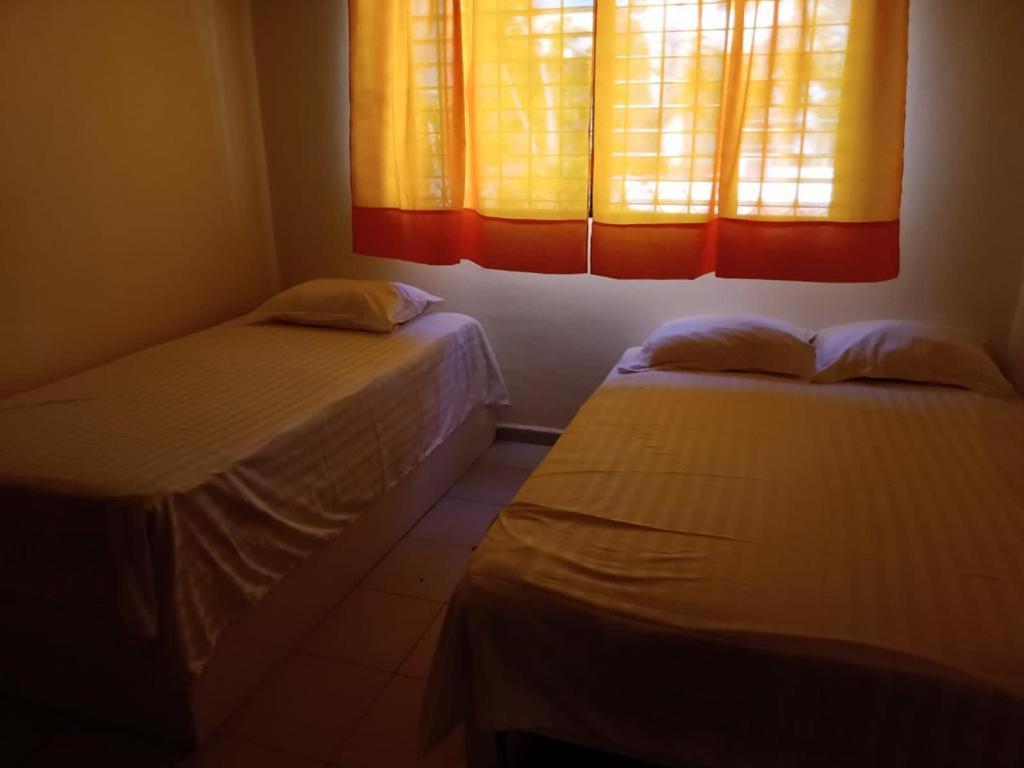 Palmas Cancún