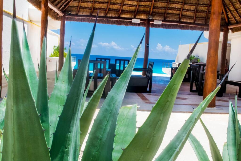 Beachfront Marlin 107 Apartamento Cancún