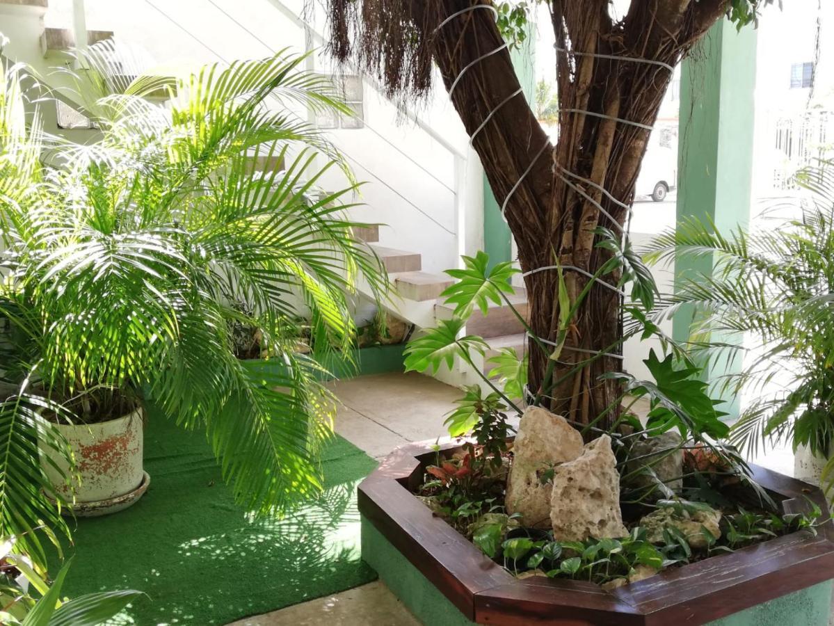 Apartamento Quetzal Loft *