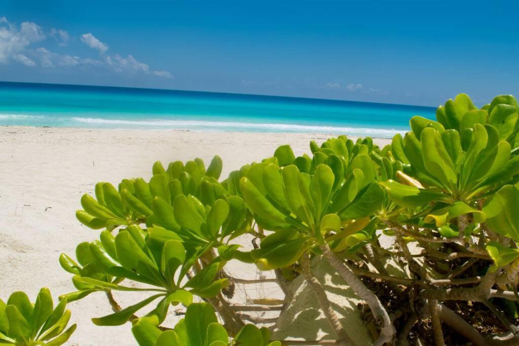 Beachfront Marlin 107 Apartamento