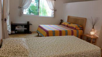 Pura Vida Guesthouse. Hotel