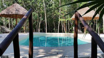 Pura Vida Guesthouse. 3*