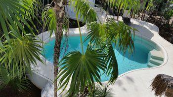 Pura Vida Guesthouse. Hotel