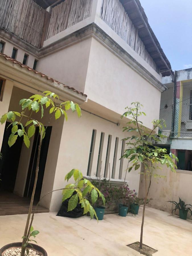 Casa Madre Naturaleza Pensión *