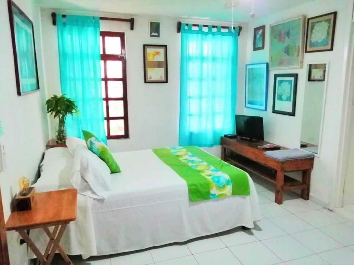 Cozy - Downtown Apartamento