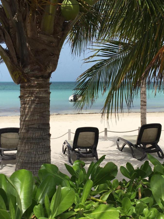 Amara Beachfront Apartment