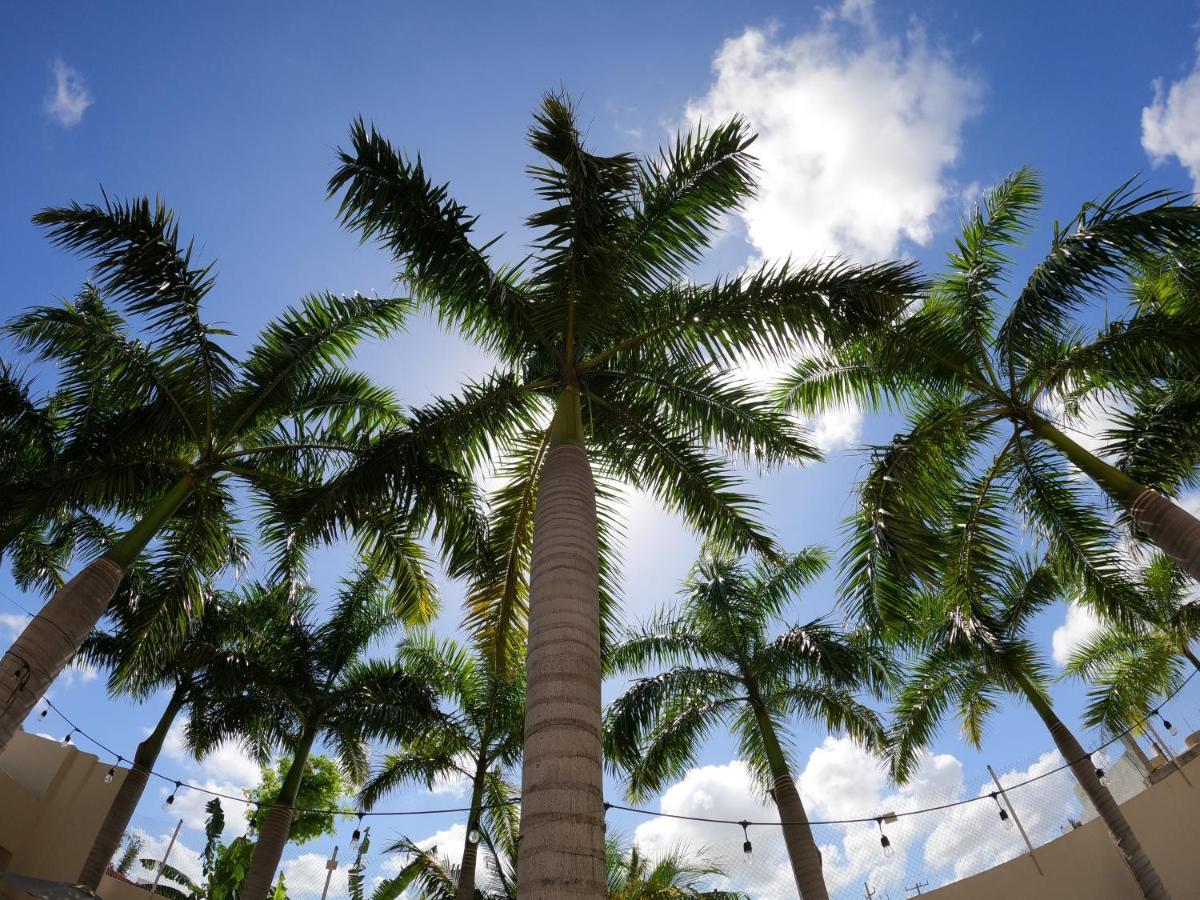 Azcapri Boutique & Cancún