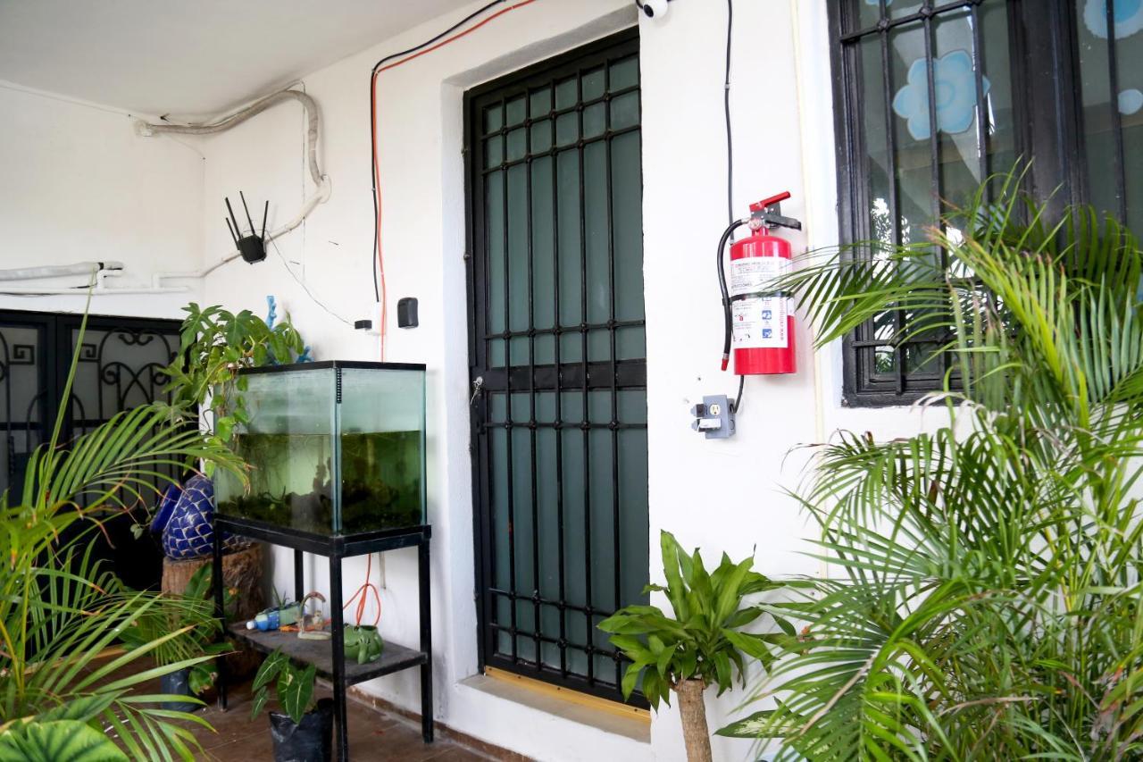 Estudios Moritas * Cancún