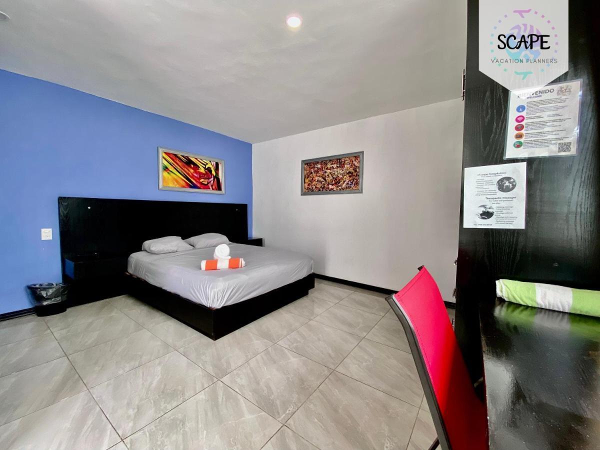 Apartamento Calidos Y Amplios Estudios Con Alberca En El Centro De
