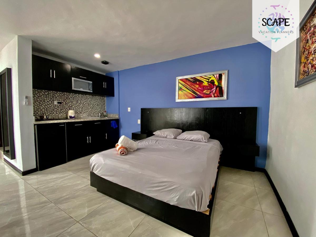 Apartamento Calidos Y Amplios Estudios Con Alberca En El Centro De *