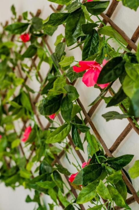 Apartamento Amazing Location & Great Price Cancún