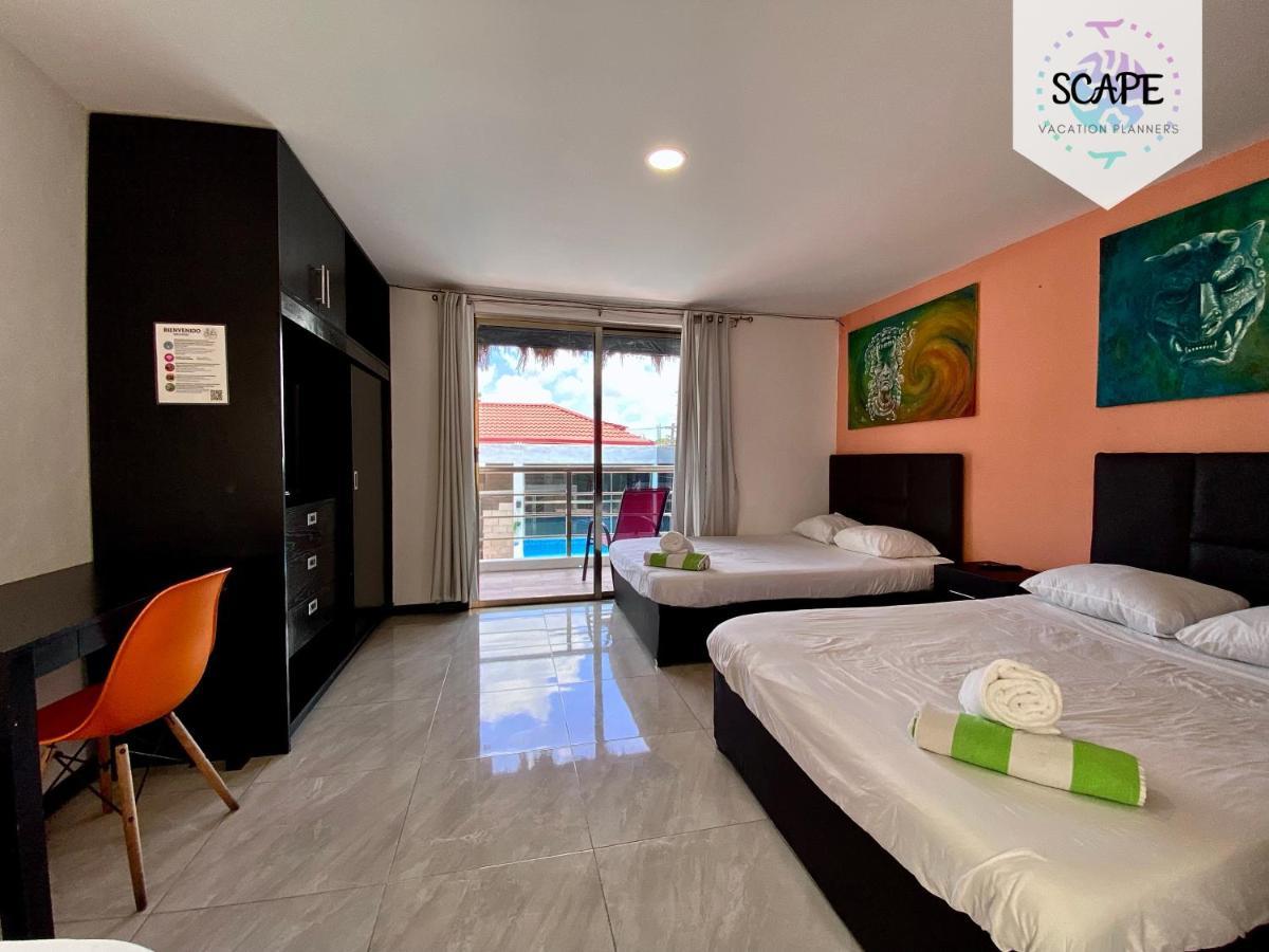 Apartamento Calidos Y Amplios Estudios Con Alberca En El Centro De *
