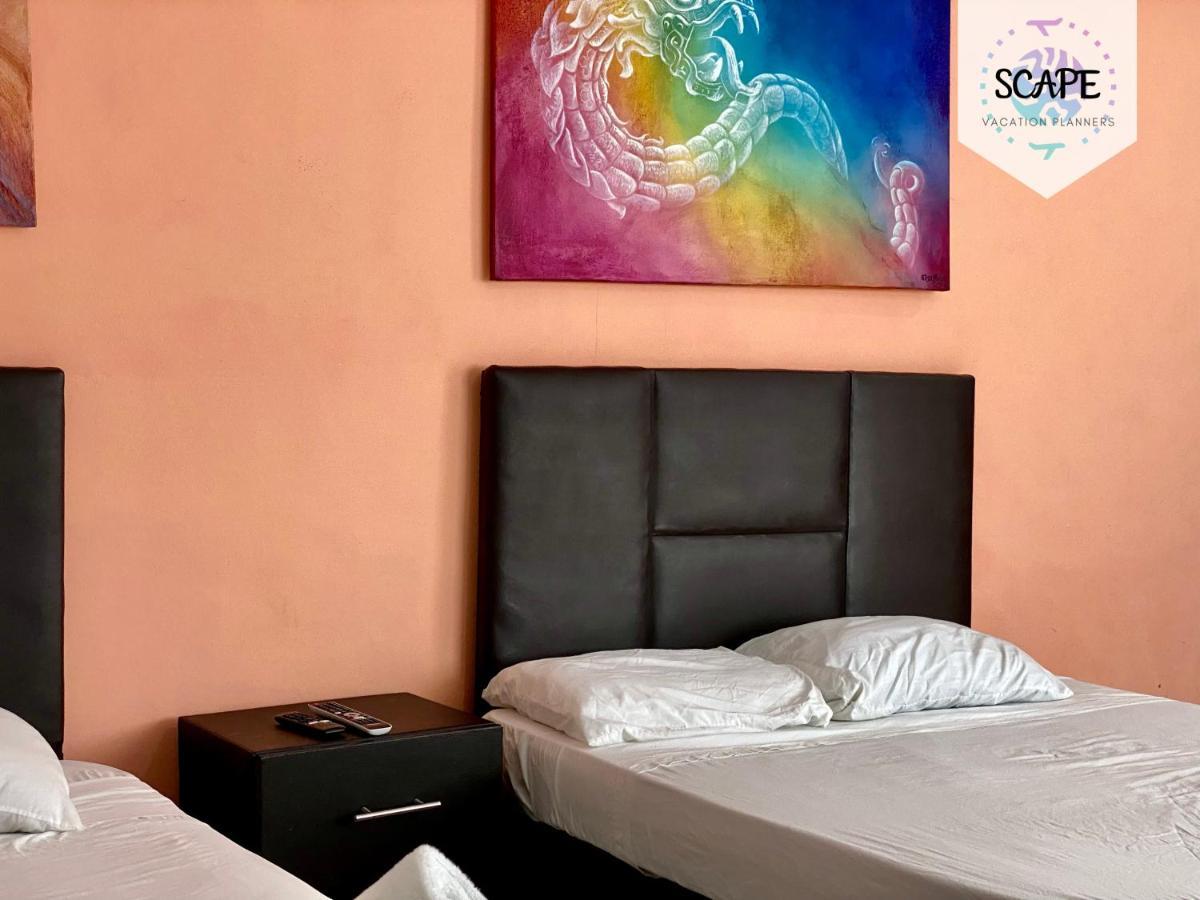 Apartamento Calidos Y Amplios Estudios Con Alberca En El Centro De *