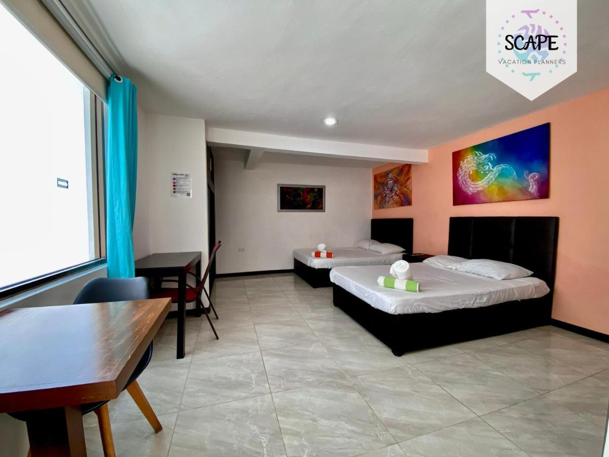 Apartamento Calidos Y Amplios Estudios Con Alberca En El Centro De Cancún