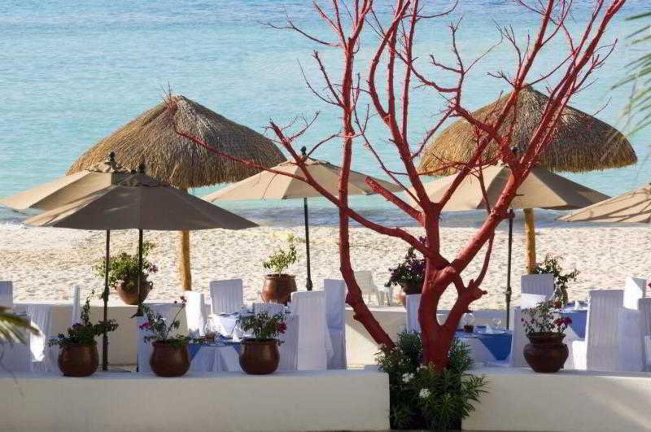 Oasis Palm 4* Cancún