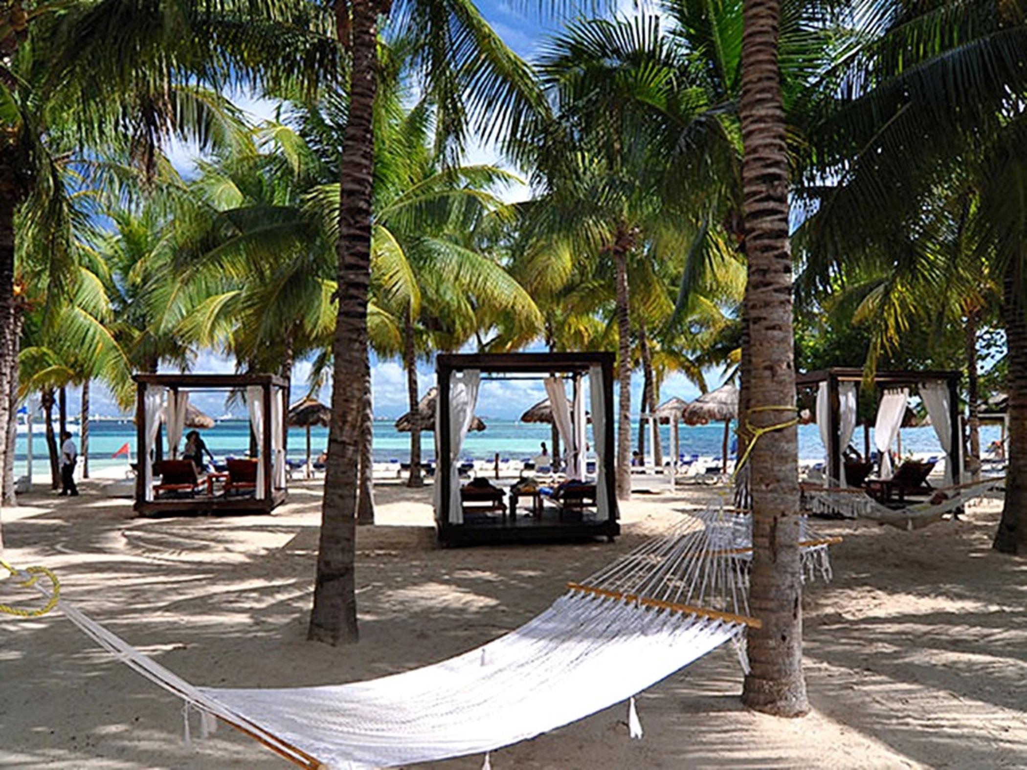 Resort Oasis Palm 4*