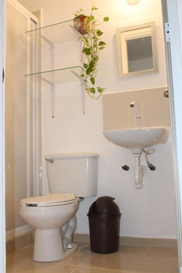 Apartamento Relajante Y Acogedor Con Alberca En Cancún