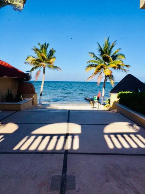 Punta Me Beautiful Beach Front In The & Waterpark Apartamento *
