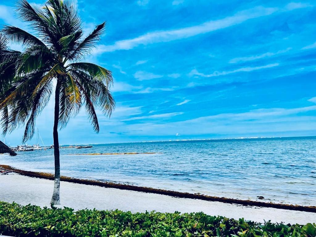 Punta Me Beautiful Beach Front In The & Waterpark Apartamento
