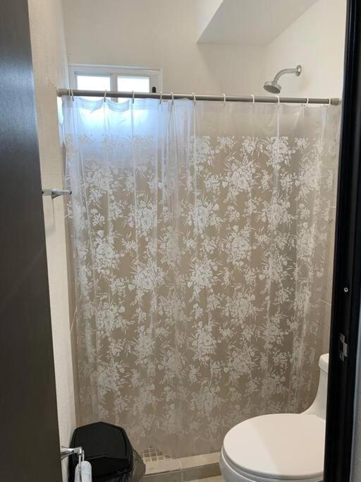 Apartamento Hermoso Piscina, Céntrico, área Libre.