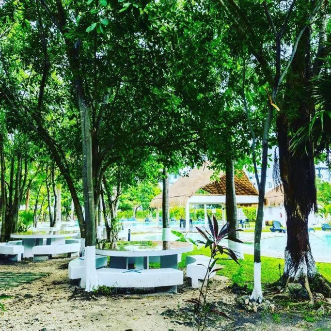 Hermoso Piscina, Céntrico, área Libre. * Cancún