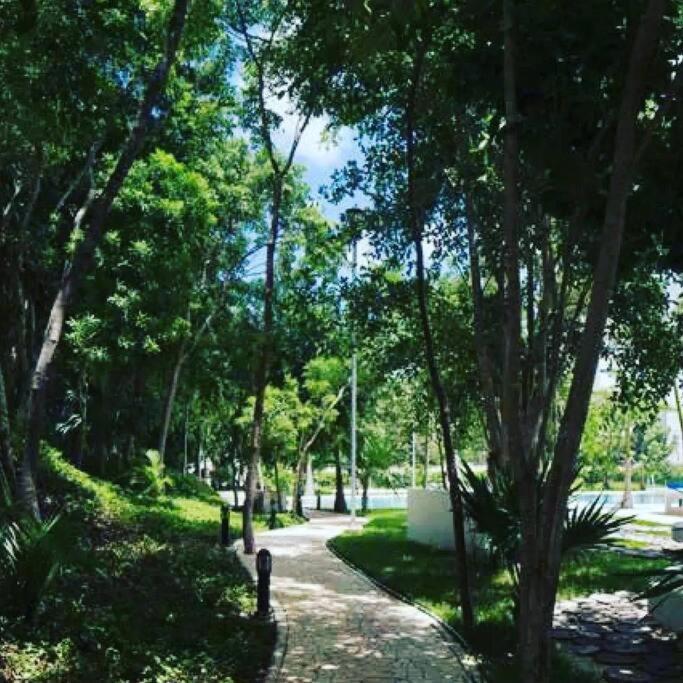 Hermoso Piscina, Céntrico, área Libre. Apartamento *
