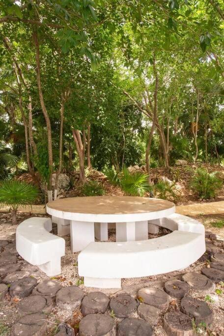 Apartamento Hermoso Piscina, Céntrico, área Libre.
